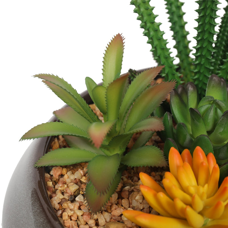 Potted Artificial Succulents with Round Decorative Bowl 19cm - Sale Now