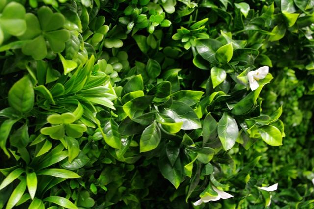 White Oasis Vertical Garden / Green Wall UV Resistant 1m x 1m - Sale Now