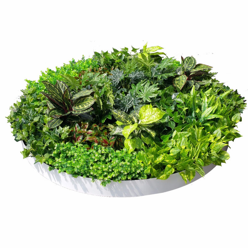 Artificial Green Wall Disk Art 150cm - Mixed Ivy And Philodendron - Sale Now