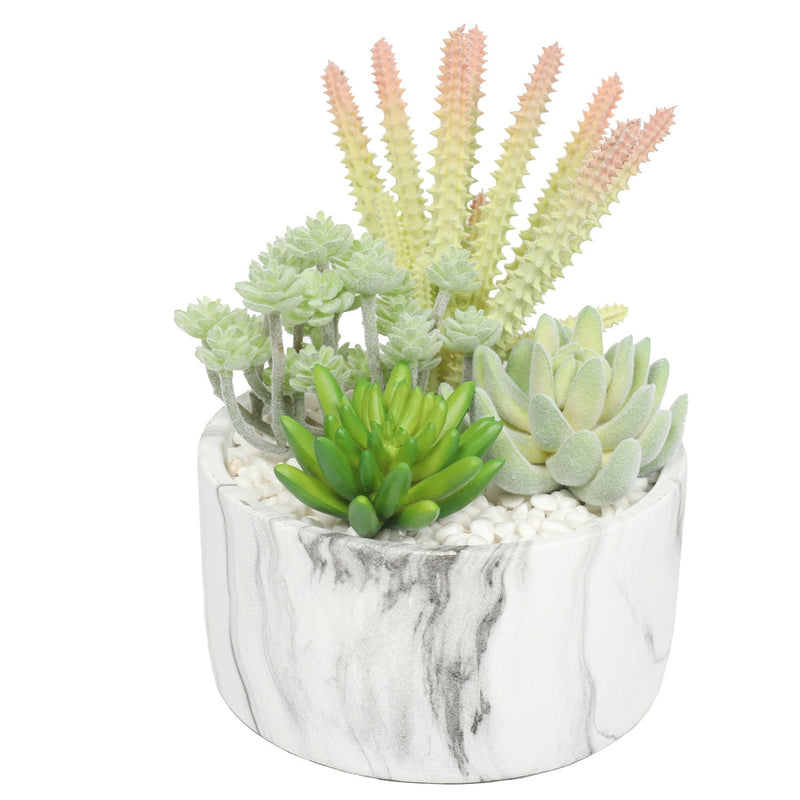 Potted Artificial Succulent Bowl with Marble Pot 20.5cm - Sale Now