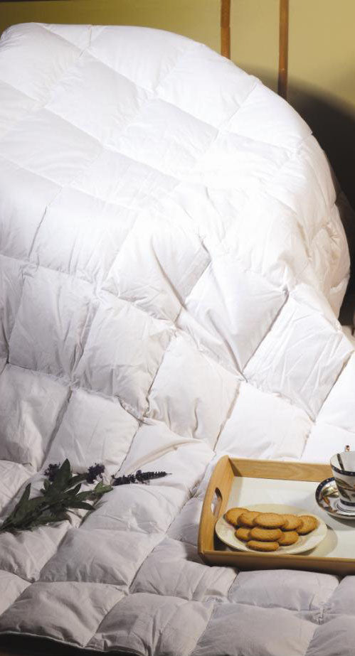 King Quilt - 100% White Goose Feather - Sale Now