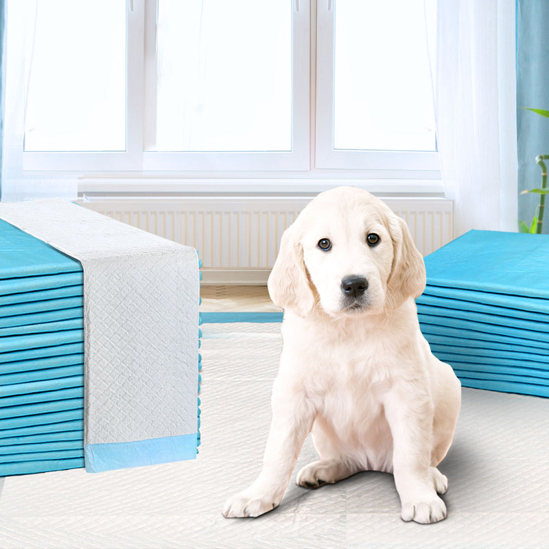 400pcs Puppy Dog Pet Training Pads Cat Toilet 60 x 60cm Super Absorbent Indoor Disposable - Sale Now