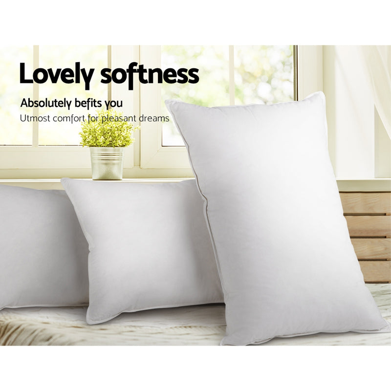 Giselle Bedding Set of 2 Duck Down Pillow - White - Sale Now