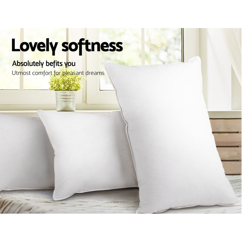 Giselle Bedding Set of 4 Medium & Firm Cotton Pillows - Sale Now