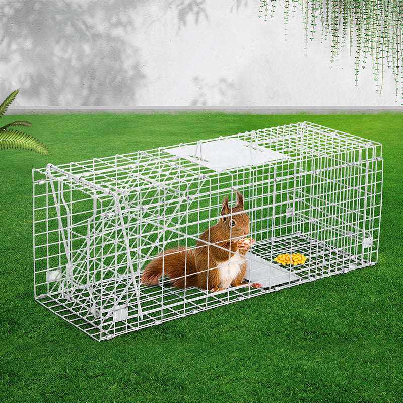 Humane Animal Trap Cage 66 x 23 x 25cm  - Silver - Sale Now