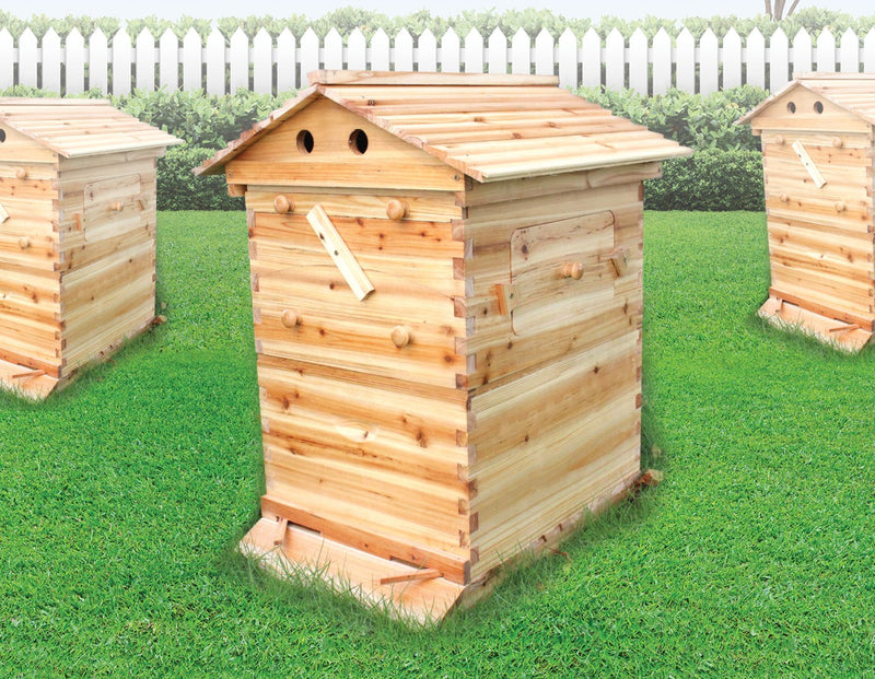 Wooden Beekeeping Beehive House and 7PCS Upgraded Auto Flow Bee Comb Hive Frames - Sale Now