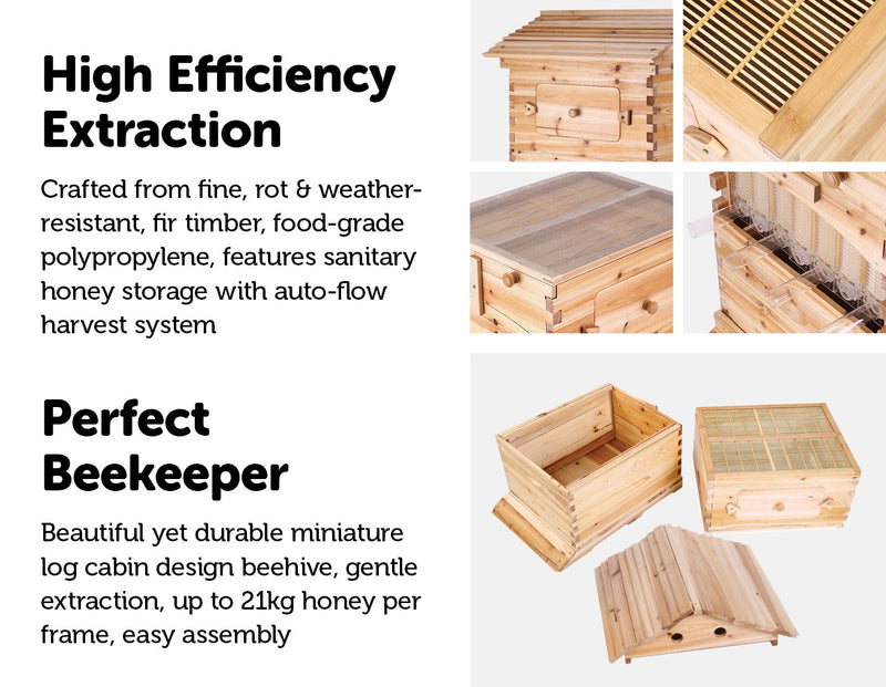 Wooden Beekeeping Beehive House and 7PCS Upgraded Auto Flow Bee Comb Hive Frames - Sale Now