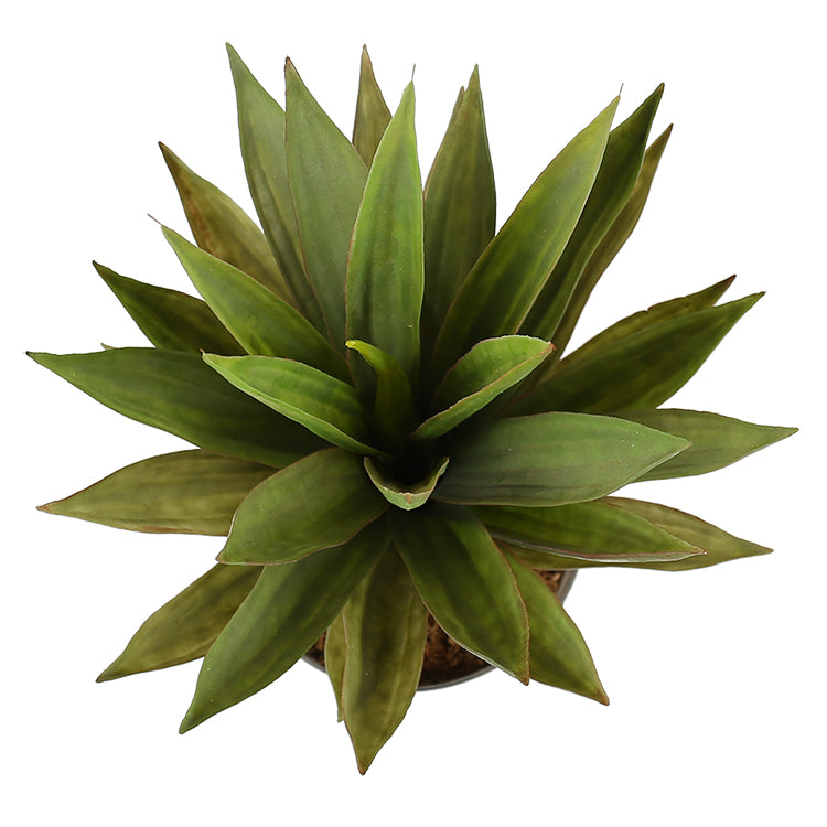 Artificial Dense Potted Aloe Vera Plant 50 cm - Sale Now