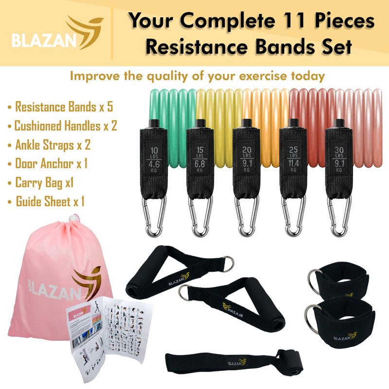 11 PC Resistance Bands Set Exercise Tube Bands with Door Anchor Handles Carry Bag Legs Ankle Straps for Strength Training Physical Therapy Home Workout - Sale Now