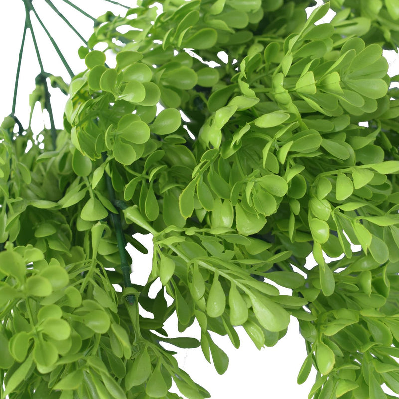 Vivid Green Wide Eucalypts Plant 32cm UV Resistant - Sale Now