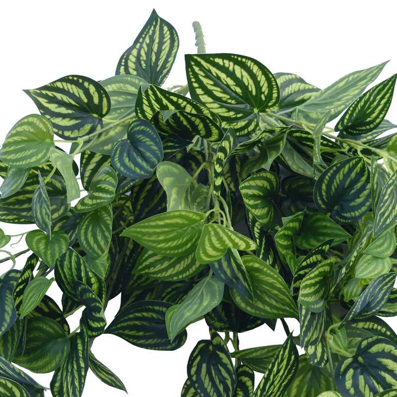 Bright Mixed Philodendron Garland Bush 100cm - Sale Now