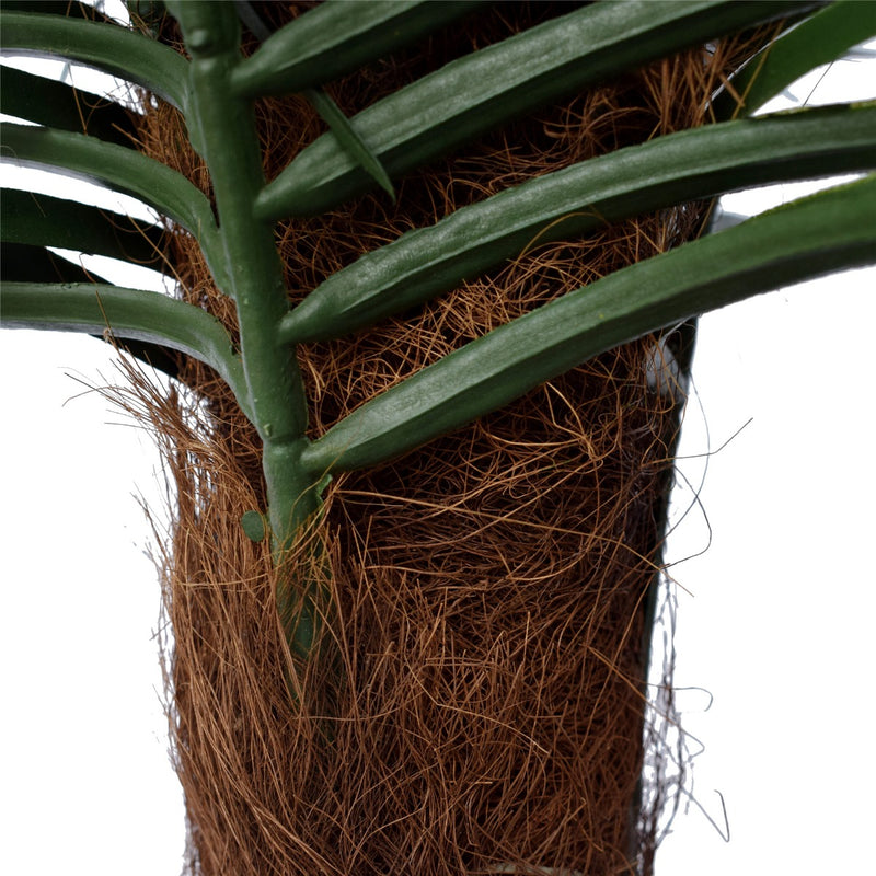 Tropical Phoenix Palm Tree 170cm UV Resistant - Sale Now