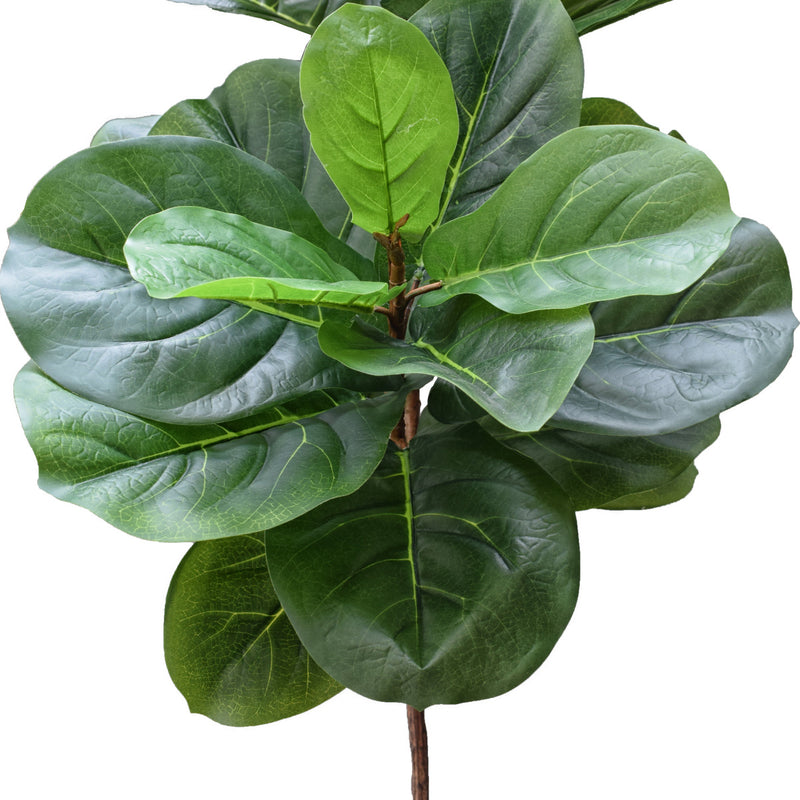 Tall Artificial Fiddle Leaf Fig 170cm - Sale Now