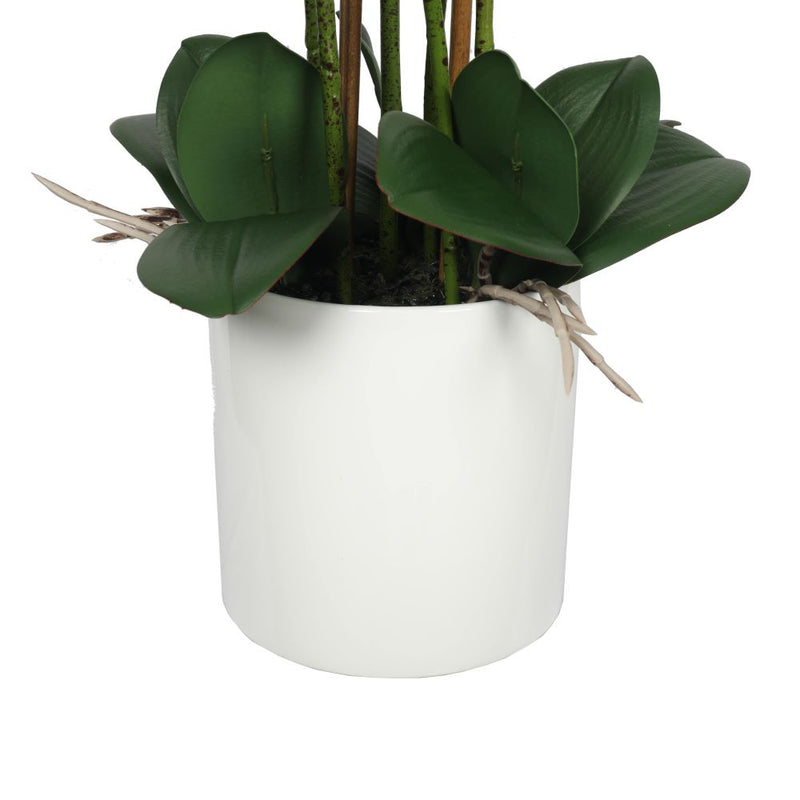 Large Multi-Stem White Potted Faux Orchid 65cm - Sale Now