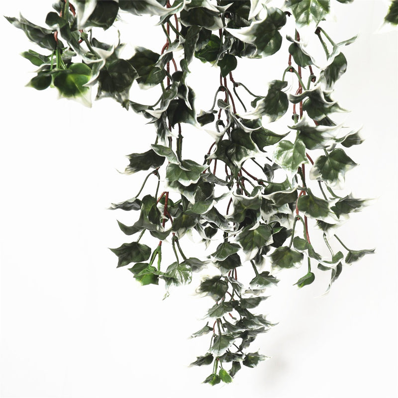 Mixed Green and White Tipped Ivy Bush 80cm UV Resistant - Sale Now
