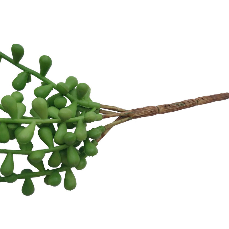 Hanging Succulent String of Pearl Beads 75cm - Sale Now