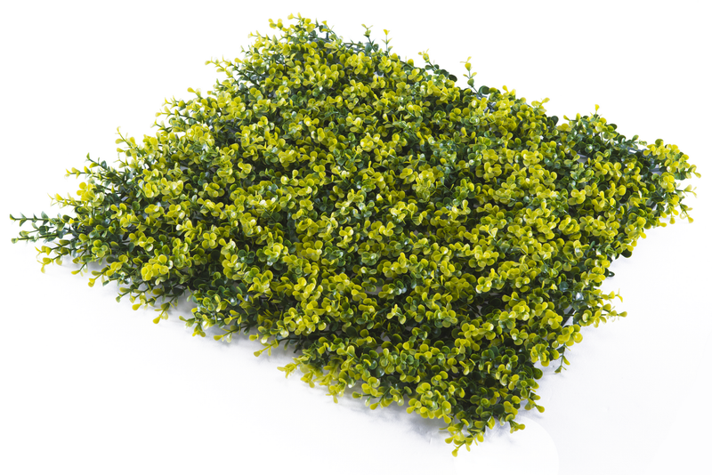 Super Clearance UV Yellow Buxus Mats 1m x 1m - Sale Now