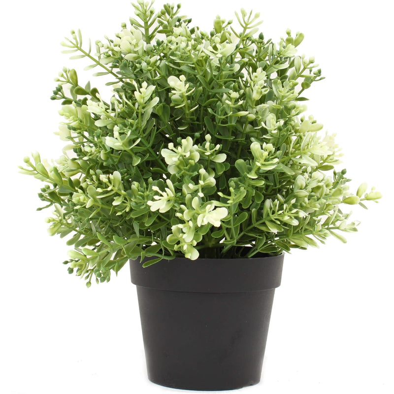 Small Potted Artificial White Jade Plant UV Resistant 20cm - Sale Now