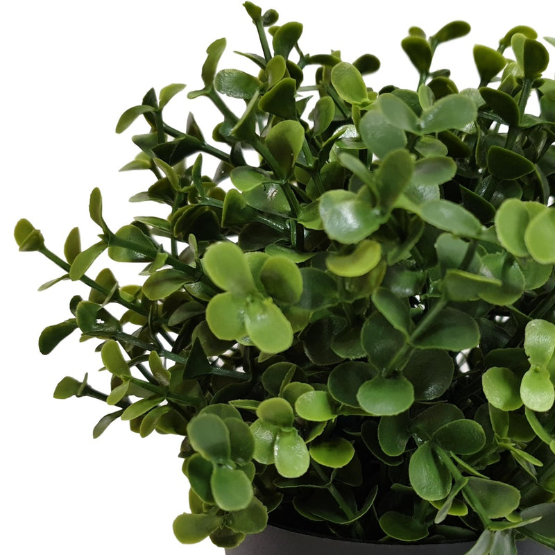 Small Potted Artificial Buxus Plant UV Resistant 20cm - Sale Now