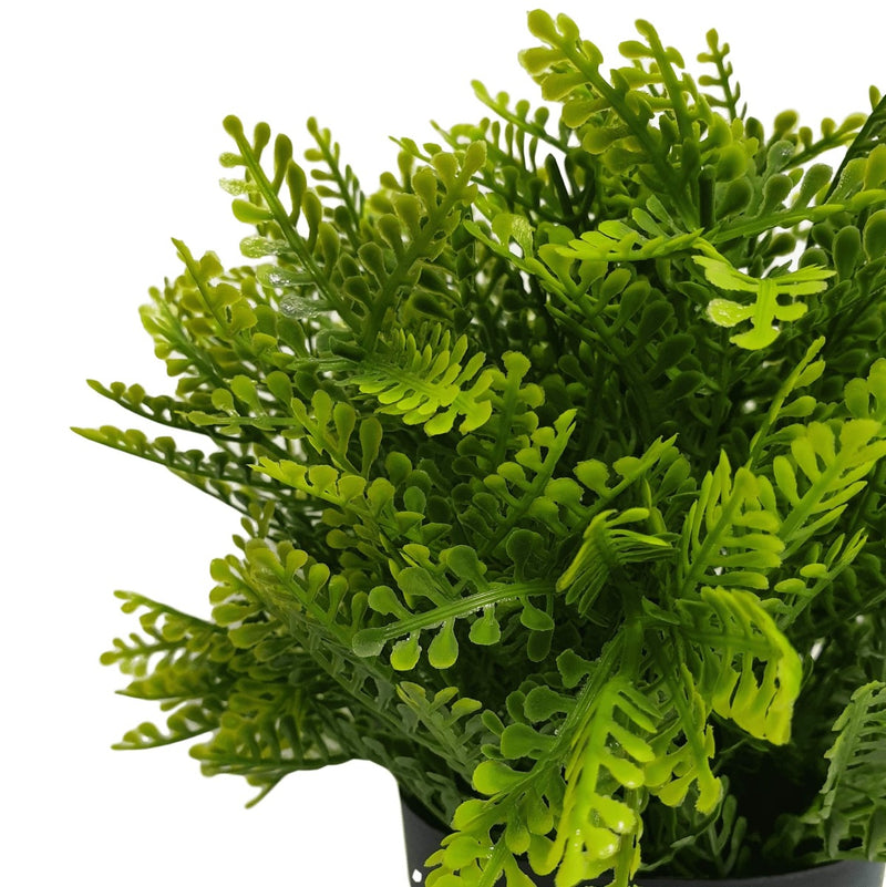Small Potted Artificial Mimosa Fern UV Resistant 20cm - Sale Now