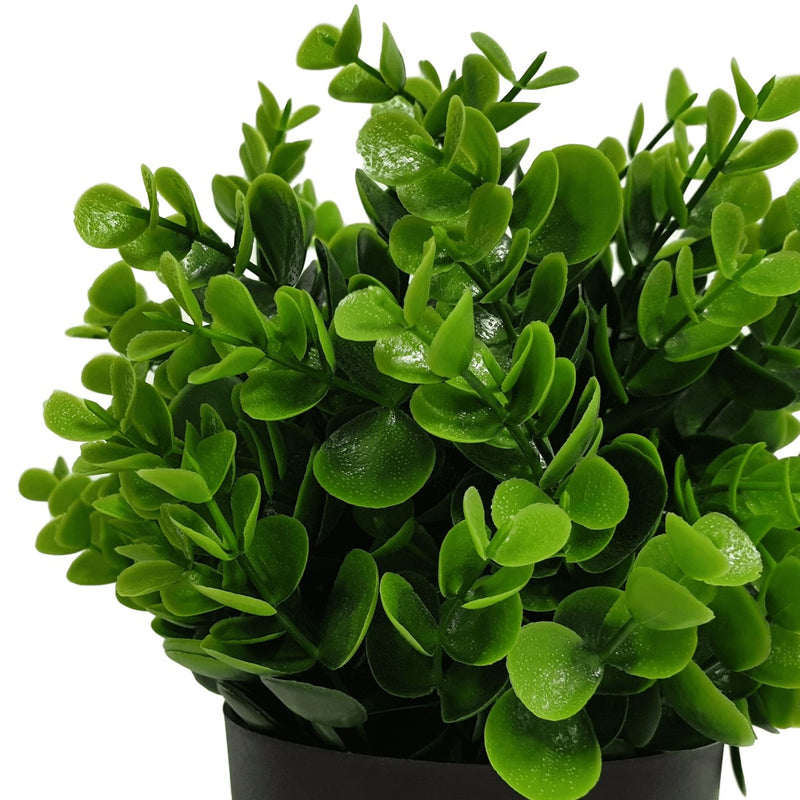 Small Potted Artificial Peperomia Plant UV Resistant 20cm - Sale Now