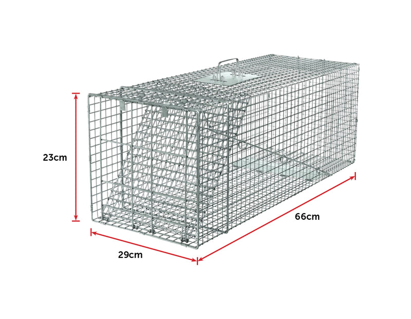Humane Animal Trap Possum Cage - Sale Now