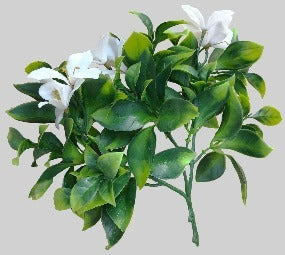 White Flowering Jasmine Stem UV Resistant 30cm - Sale Now
